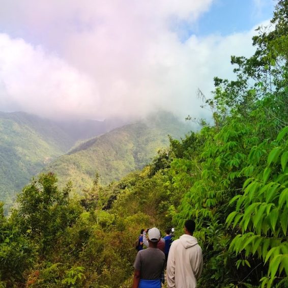 Hikers exploring lush Sierra de Bahoruco mountain trail