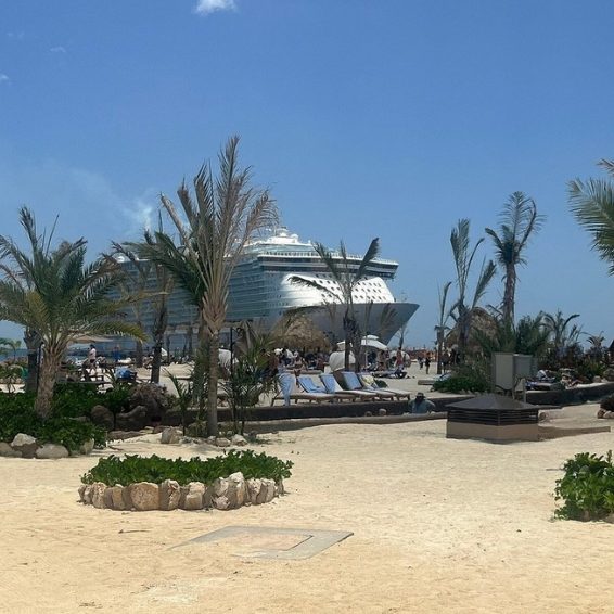 Cruise ship docked beyond palm trees at Cabo Rojo