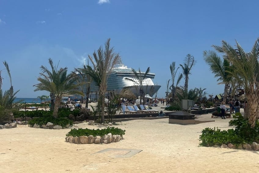 Cruise ship docked beyond palm trees at Cabo Rojo
