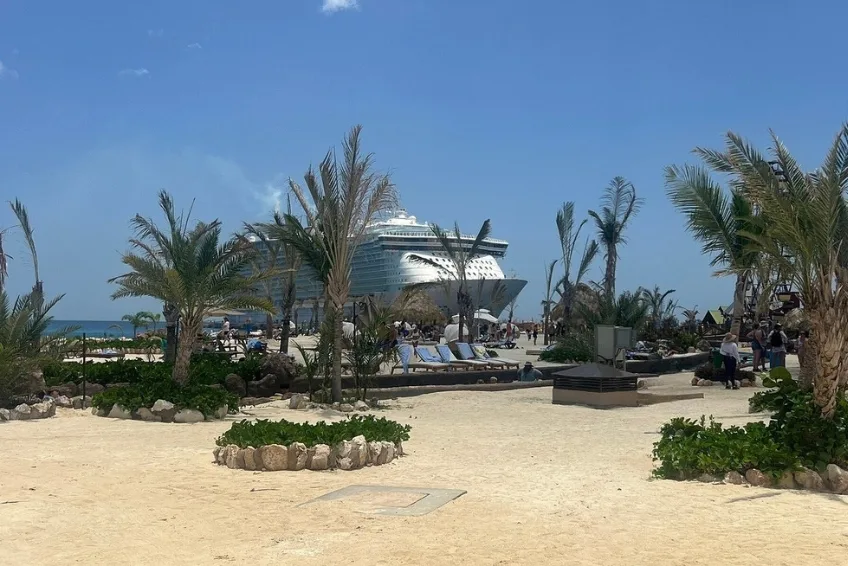 Cruise ship docked beyond palm trees at Cabo Rojo