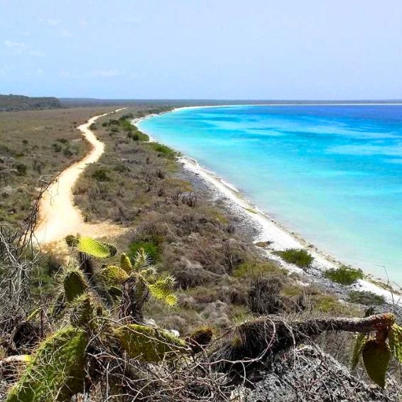 Dirt road winding along Bahia de las Aguilas coastline