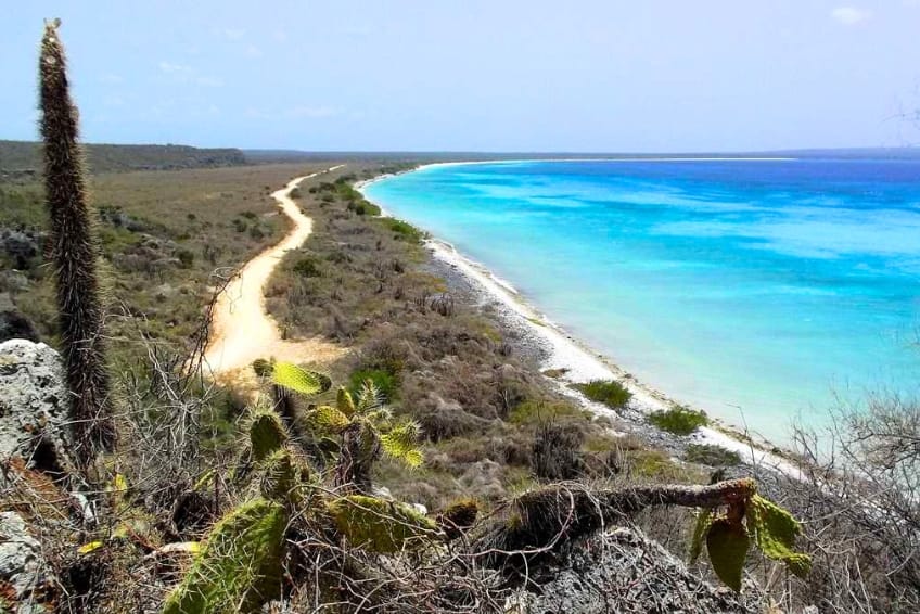 Dirt road winding along Bahia de las Aguilas coastline