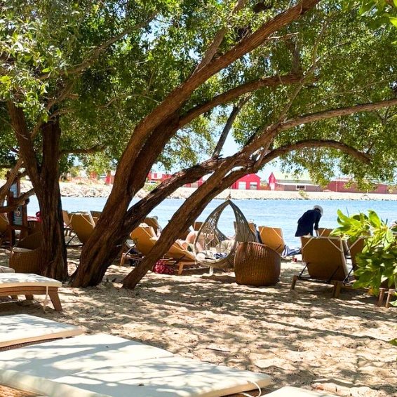 Shaded beach lounge chairs under trees by the water at Baby Beach Club, Cabo Rojo