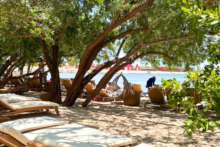 Shaded beach lounge chairs under trees by the water at Baby Beach Club, Cabo Rojo